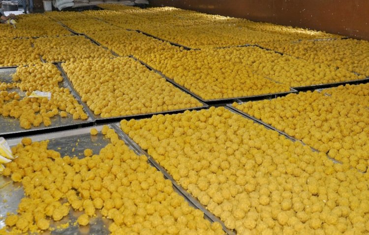 आषाढी यात्रा : 13 लक्ष 50 हजार बुंदी लाडू प्रसादाची निर्मिती - सह अध्यक्ष गहिनीनाथ महाराज औसेकर.