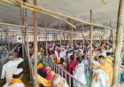 मंदिर समितीकडून दर्शन रांगेचे सूक्ष्म नियोजन - कार्यकारी अधिकारी राजेंद्र शेळके 
