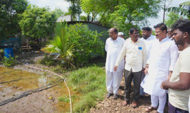 आमदार अभिजीत पाटील यांनी केली पूर परिस्थिती पाहणी