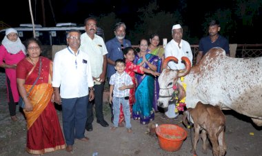 श्री विठ्ठल-रुक्मिणी मंदिरे समिती, श्री क्षेत्र पंढरपूर संचालित गोशाळेत वसुबारस साजरी