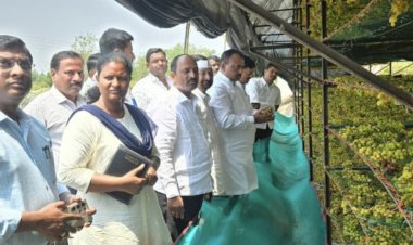 नंदेश्वर येथे अवकाळी पावसाचा मोठा फटका; बेदाणे शेडचे नुकसान, वीज पडून गाय दगावली, आ.समाधान आवताडे यांनी पाहणी करत नुकसानग्रस्त शेतकऱ्यांना तात्काळ मदतीच्या प्रशासनाला सूचना