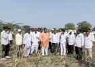 पिके करपली, जमिनीला भेगा; दुष्काळग्रस्त गावांचा आमदार आवताडेंकडून पाहणी दौरा