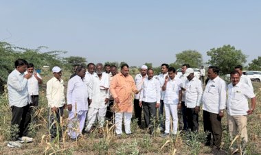 पिके करपली, जमिनीला भेगा; दुष्काळग्रस्त गावांचा आमदार आवताडेंकडून पाहणी दौरा