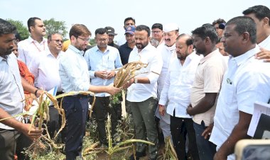 दुष्काळग्रस्त शेतकऱ्यांचे १०० टक्के क्षेत्राचे सरसकट पंचनामे करावेत ; पंचनाम्यात एकही नुकसानग्रस्त शेतकरी वंचित राहू नये; अधिकाऱ्यांनी संवेदनशीलतेने काम करावे - पालकमंत्री जयकुमार गोरे