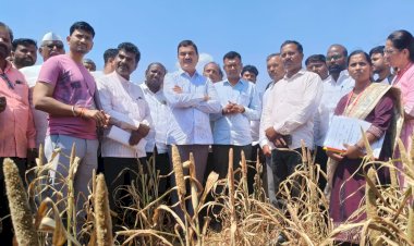 दुष्काळग्रस्त शेतकऱ्यांना मदत करण्यासाठी शासन कटिबद्ध ; कृषिमंत्री दत्तात्रय भरणे यांच्याकडून राजापूर, बुरलेवाडी येथील दुष्काळी परिस्थितीची पाहणी