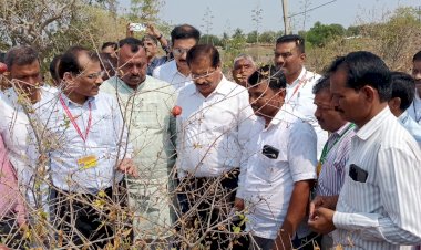 मतदार संघातील दुष्काळग्रस्त शेतकऱ्यांना सरसकट मदत द्या ; केंद्राच्या पथकाच्या टीम चे प्रमुख डाॅ.के पोनुसामी यांच्याकडे आमदार समाधान आवताडे यांचे १७ मागण्यांचे निवेदन