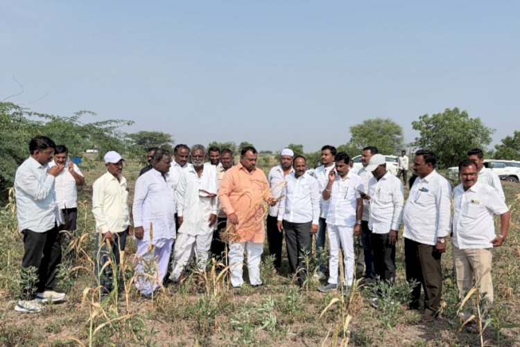 पिके करपली, जमिनीला भेगा; दुष्काळग्रस्त गावांचा आमदार आवताडेंकडून पाहणी दौरा