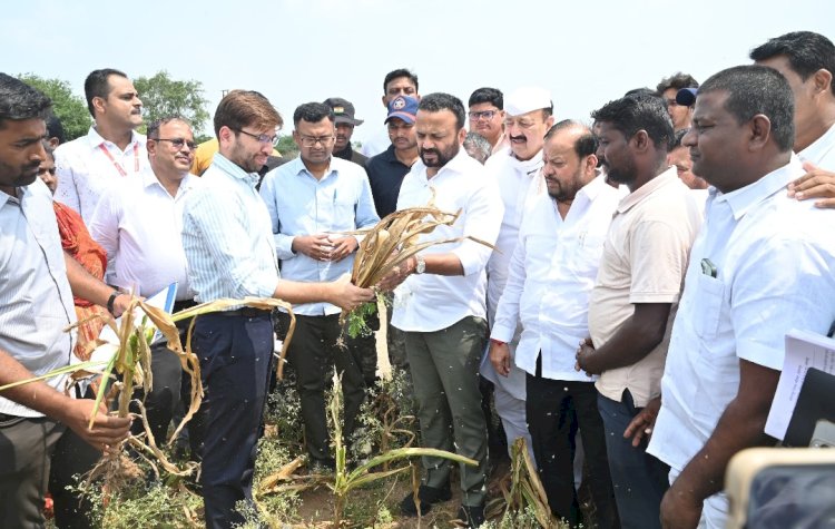 दुष्काळग्रस्त शेतकऱ्यांचे १०० टक्के क्षेत्राचे सरसकट पंचनामे करावेत ; पंचनाम्यात एकही नुकसानग्रस्त शेतकरी वंचित राहू नये; अधिकाऱ्यांनी संवेदनशीलतेने काम करावे - पालकमंत्री जयकुमार गोरे