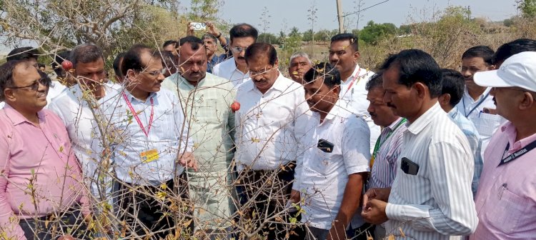 मतदार संघातील दुष्काळग्रस्त शेतकऱ्यांना सरसकट मदत द्या ; केंद्राच्या पथकाच्या टीम चे प्रमुख डाॅ.के पोनुसामी यांच्याकडे आमदार समाधान आवताडे यांचे १७ मागण्यांचे निवेदन