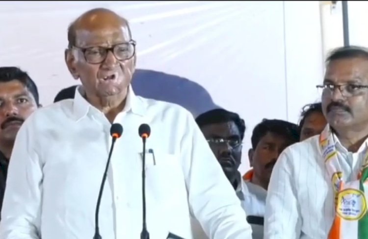 मोदी सरकार शेतकरी विरोधी आहे - शरद पवार