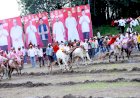 कल्याणराव काळे यांच्या वाढदिवसानिमित्त भाळवणी येथे रंगला बैलगाडा शर्यतीचा थरार