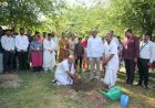 स्वेरीमध्ये जागतिक पर्यावरण दिन उत्साहात साजरा