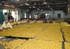 आषाढी यात्रेसाठी ११ लाख बुंदी लाडू प्रसादाची निर्मिती - कार्यकारी अधिकारी राजेंद्र शेळके यांची माहिती